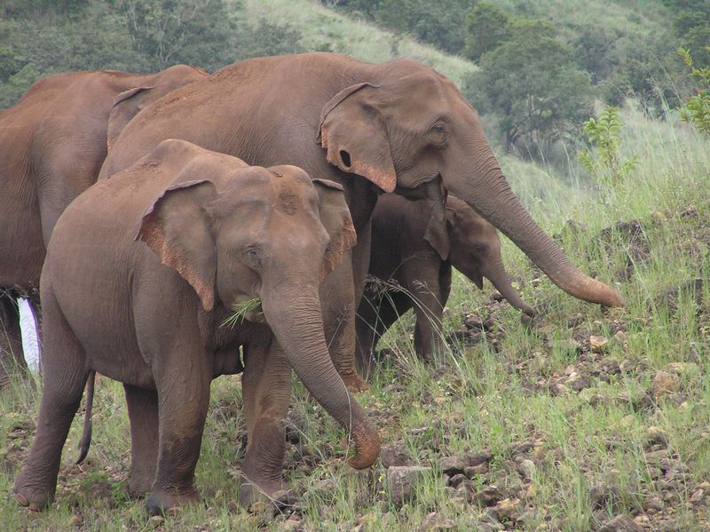 Unterwegs in Kerala