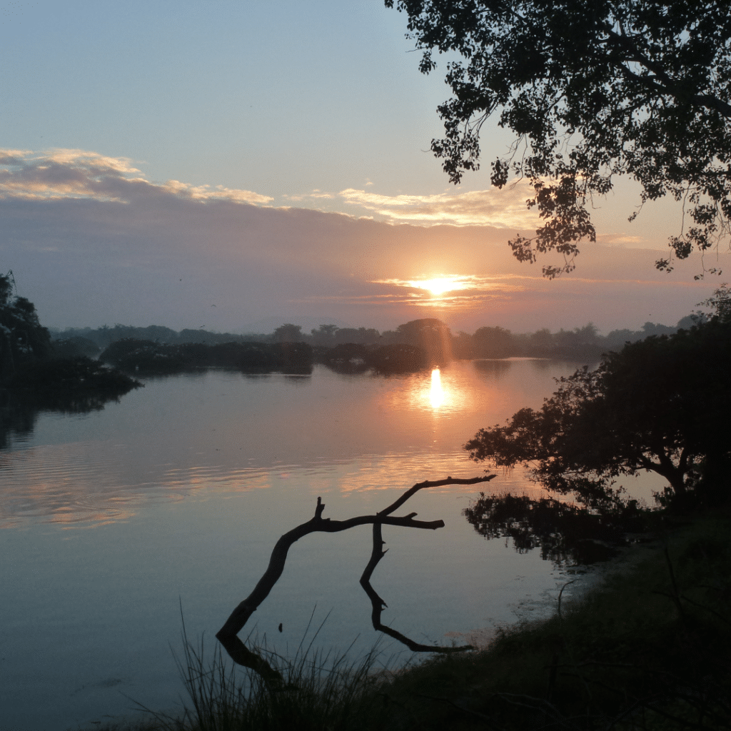 Vedanthangal Vogelnaturschutzgebiet