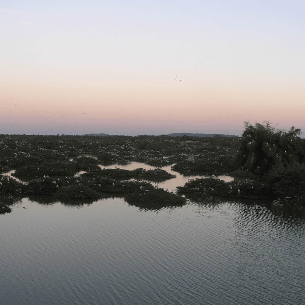 Vedanthangal Vogelnaturschutzgebiet