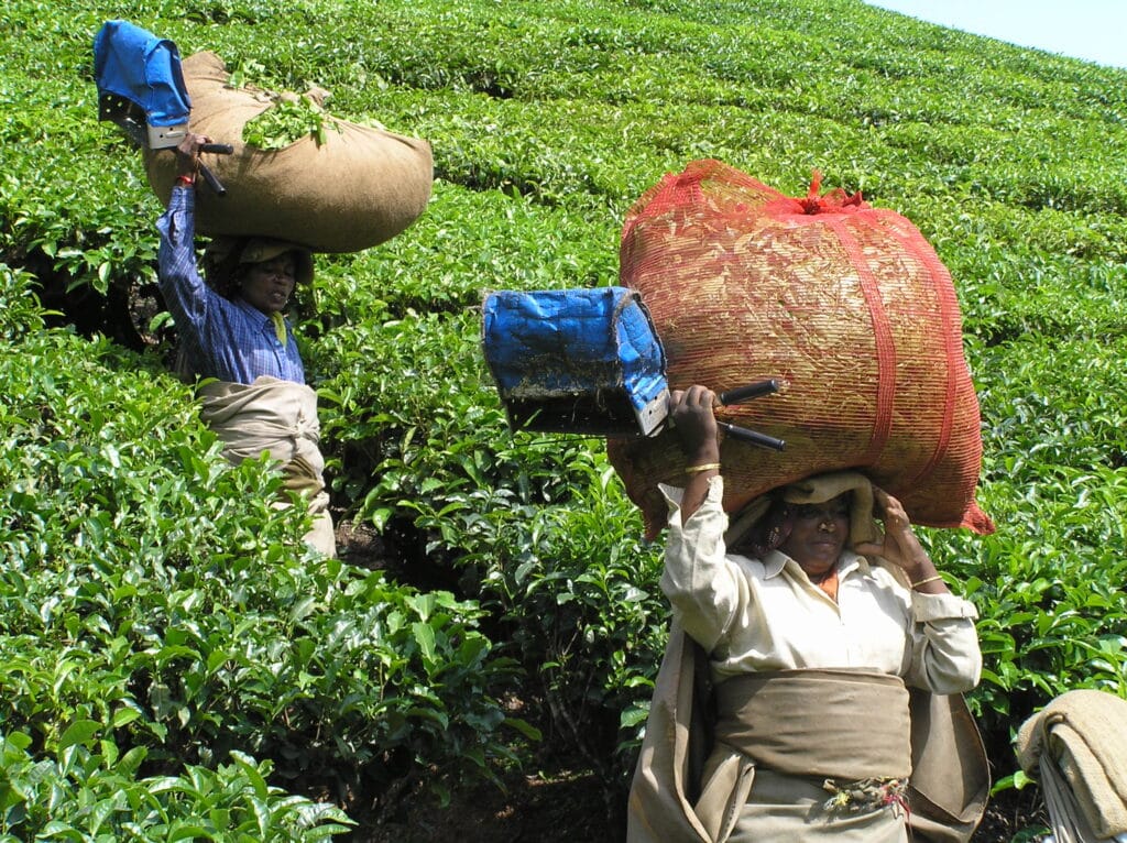 Unterwegs in Kerala