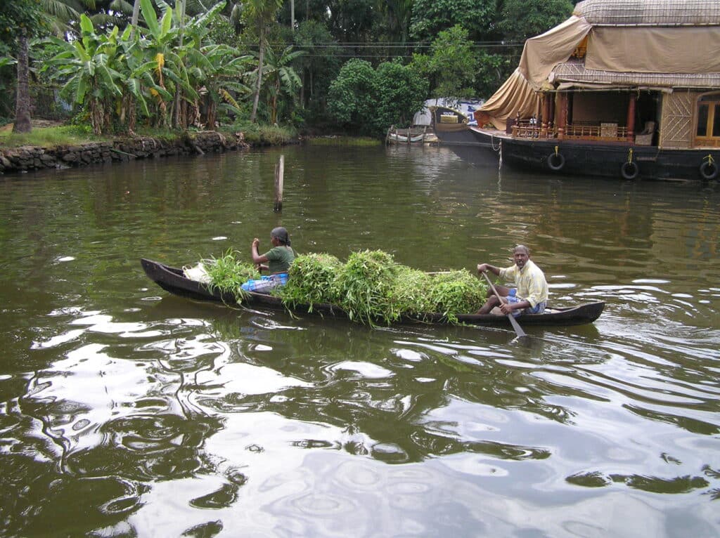 Unterwegs in Kerala