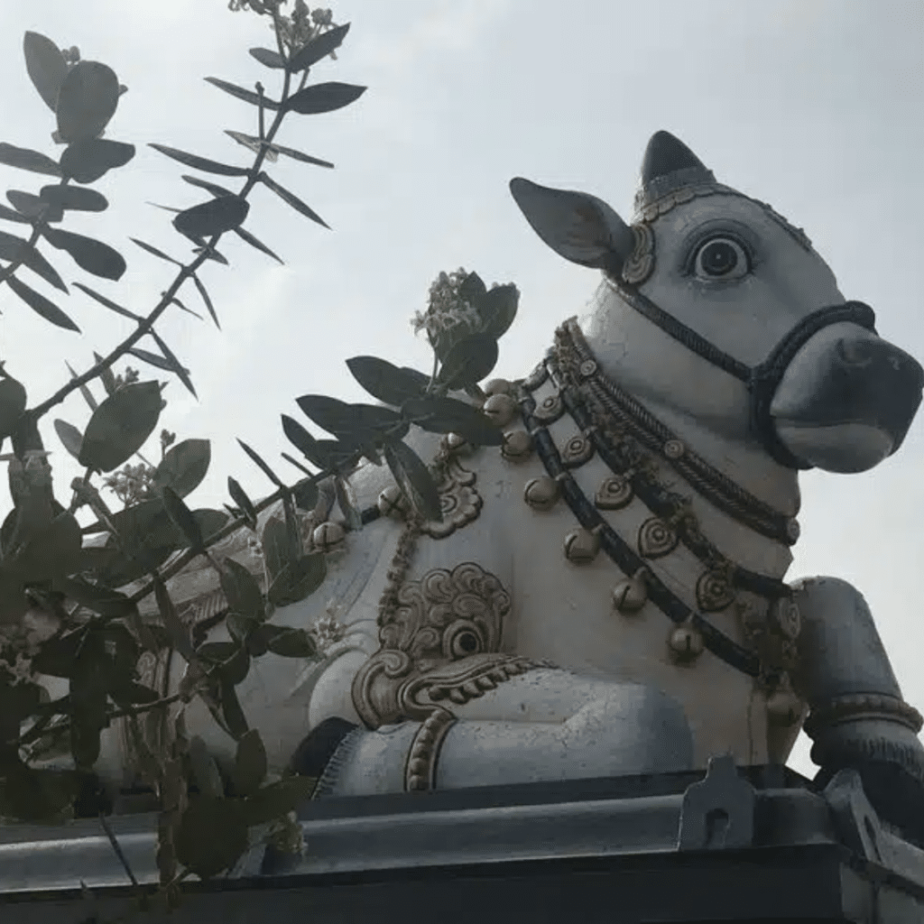 Nandi, das Transporttier von Lord Shiva