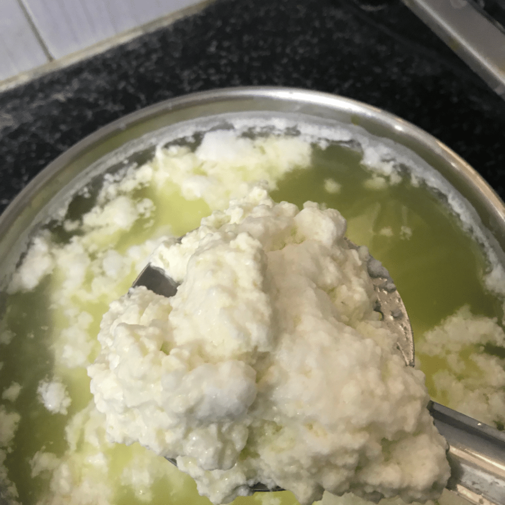 Paneer – indischer Frischkäse selber machen