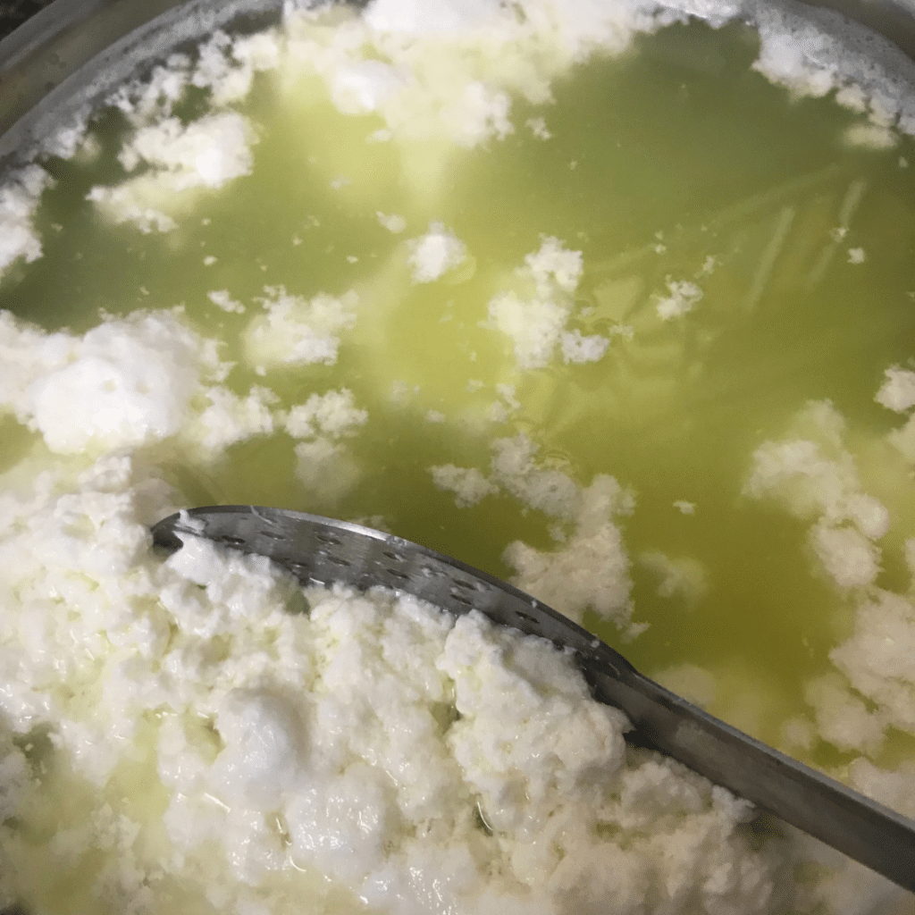 Paneer – indischer Frischkäse selber machen