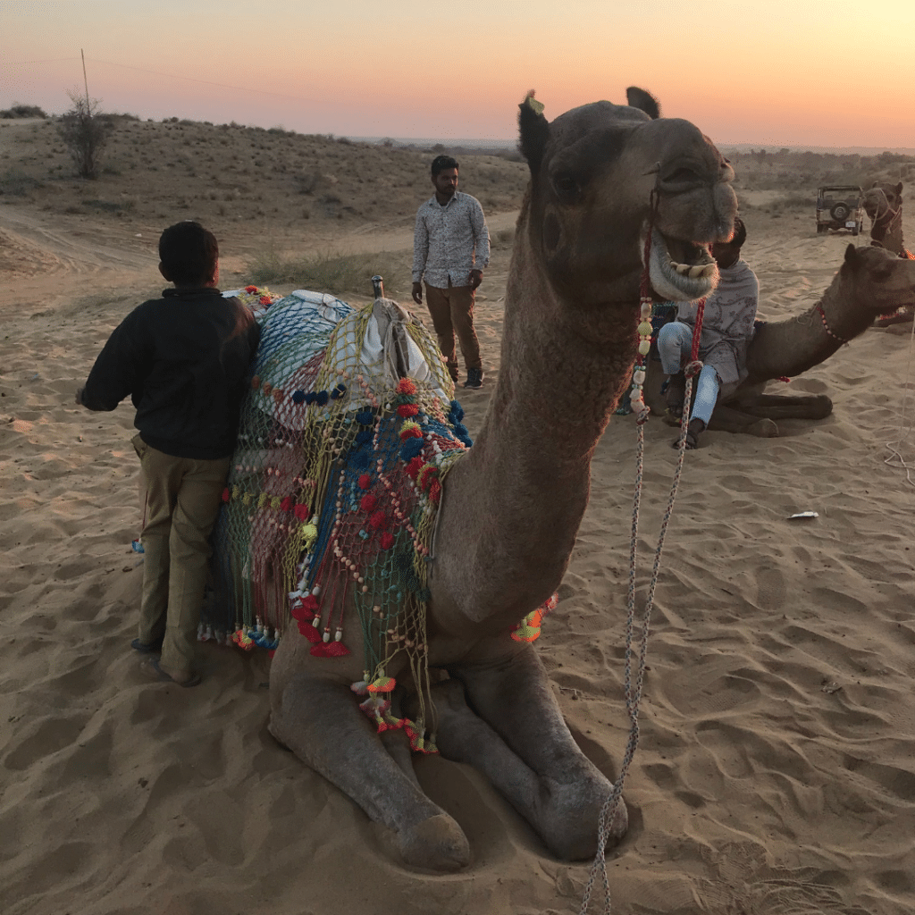 Jodhpur