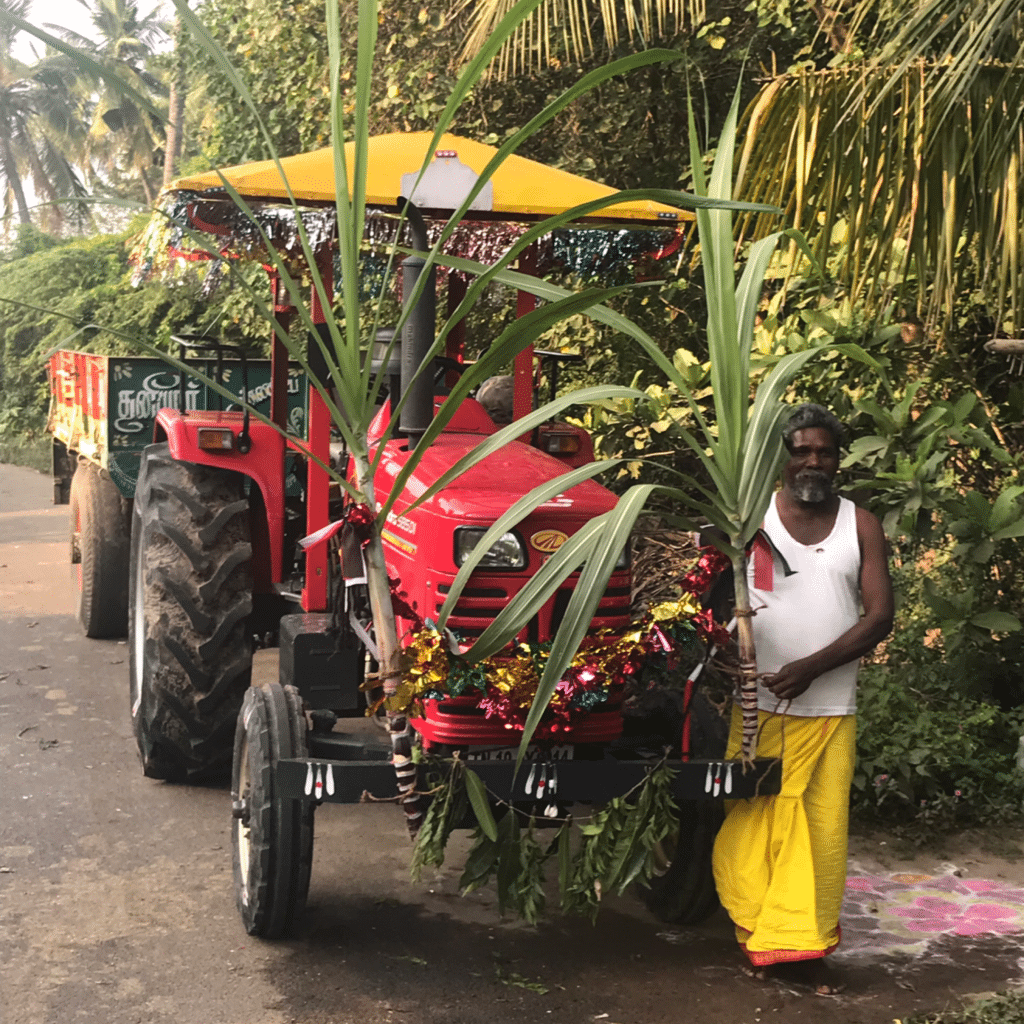 Pongal, das Erntedankfest der Tamilen