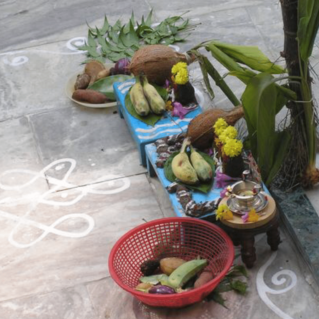 Pongal, das Erntedankfest der Tamilen