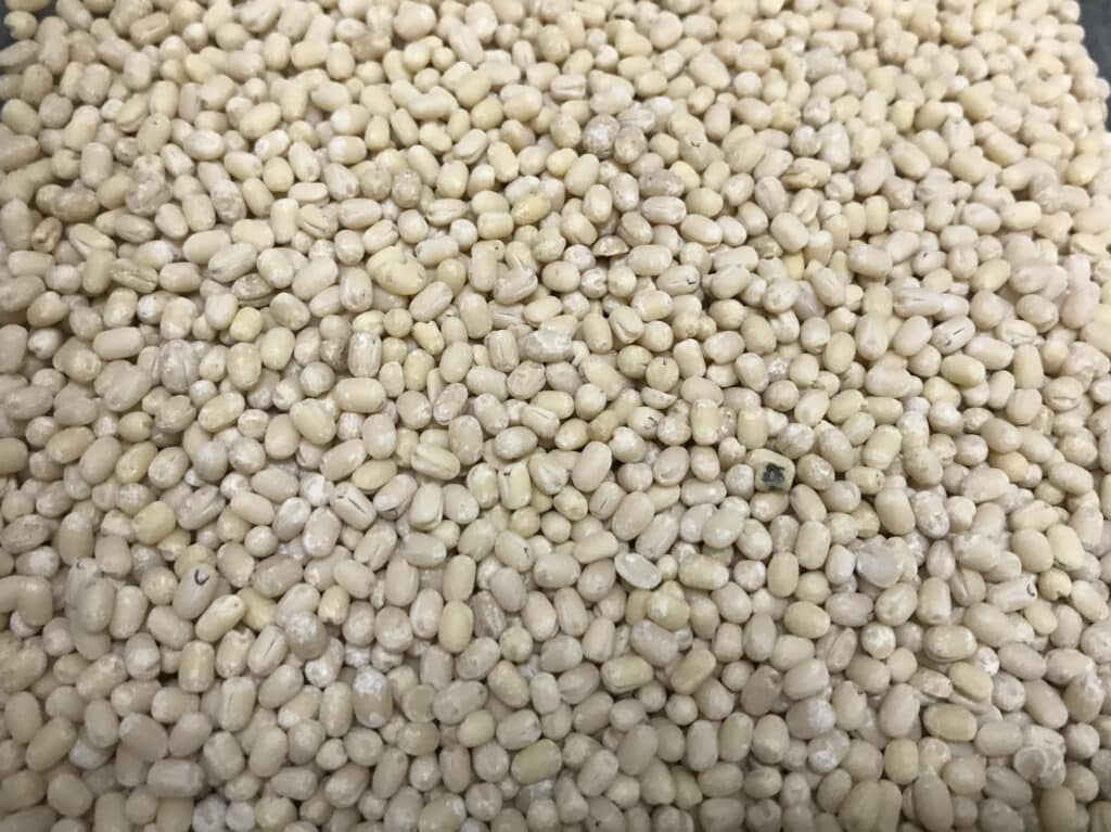 Urad Dal