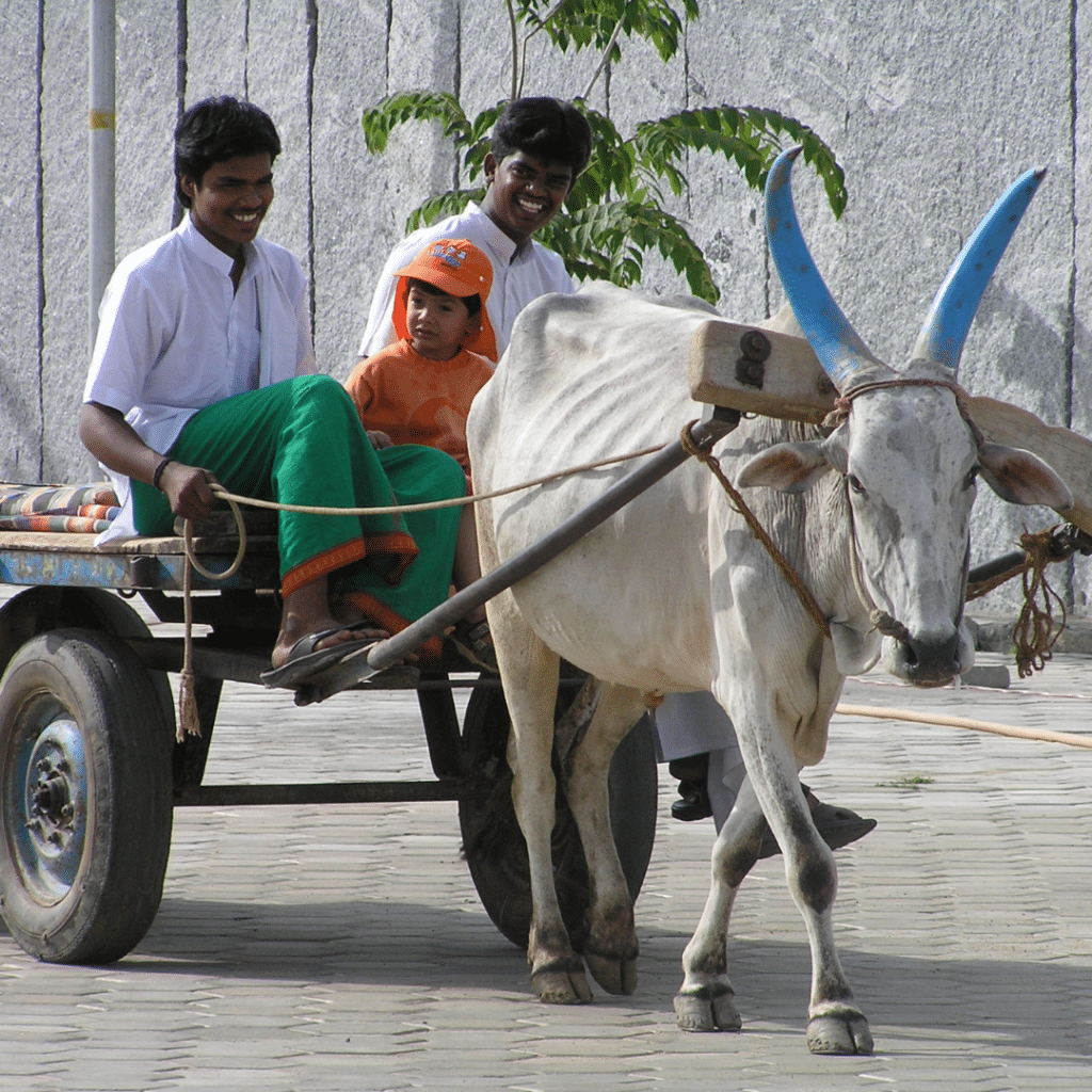 Nach Indien mit Kind