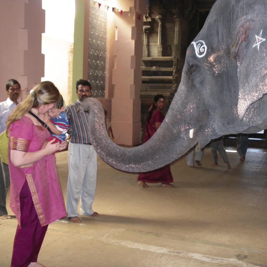Nach Indien reisen mit Kind