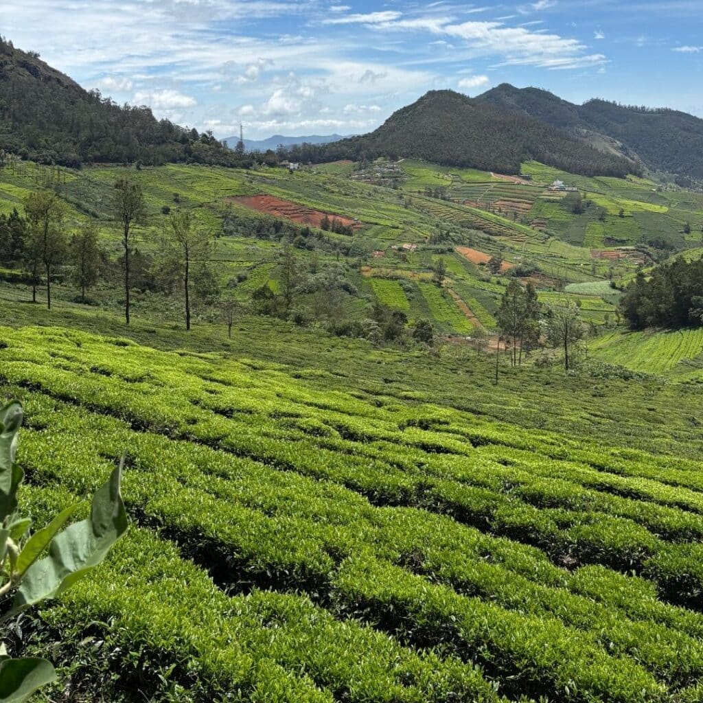Ooty Reisebericht