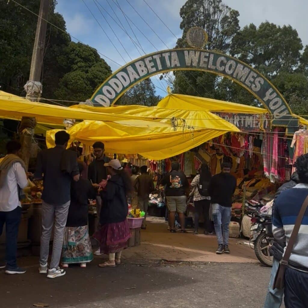 Ooty Reisebericht Doddabetta Peak