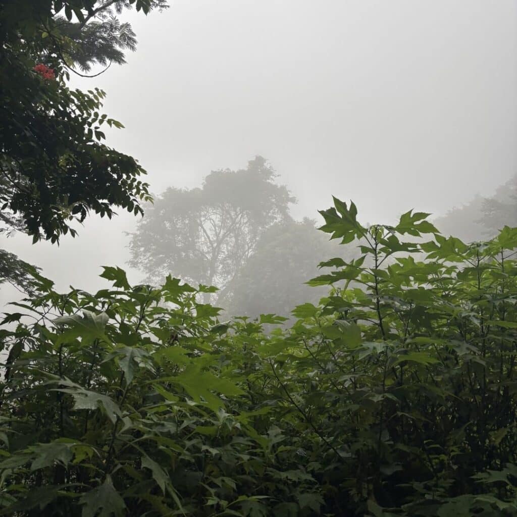 Ooty